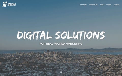 Hashtag Interactive Website 2017