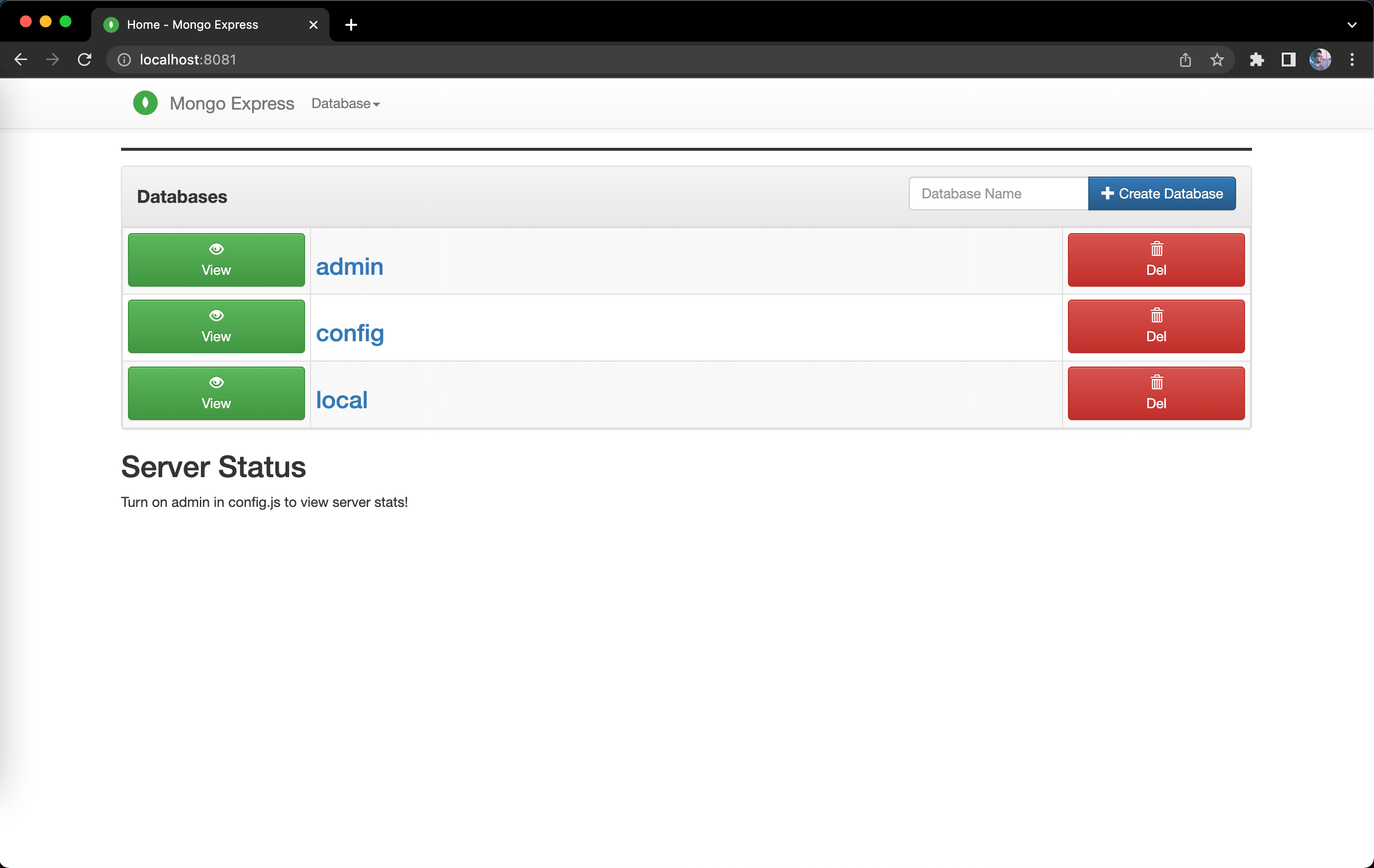 Screenshot of databases in mongo-express